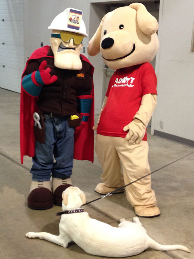 Home and Garden Show 02